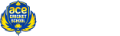 Ace Cricket School